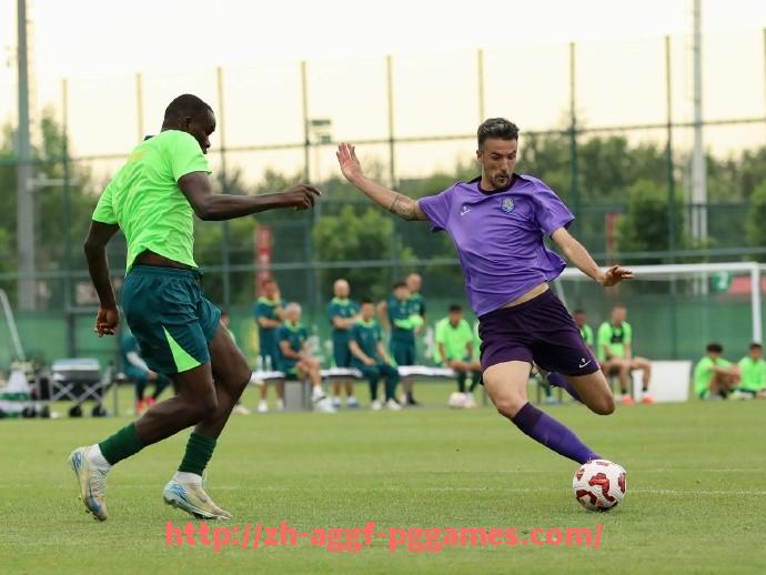 PG模拟器官方网站-2025年世俱杯裁判选拔标准及执法质量保障体系全面解析