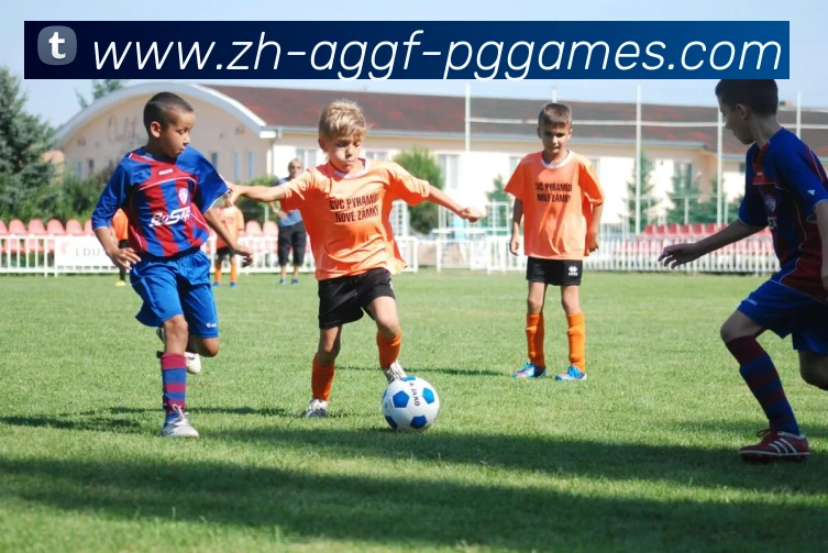 PG模拟器品牌故事